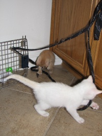 20100206 440.JPG